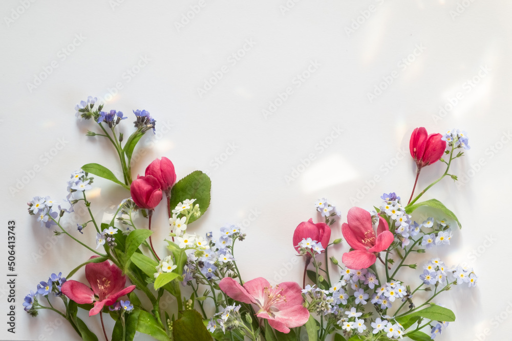 floral layout from different wildflowers on a white background. Beautiful light reflections. Top view and copy space