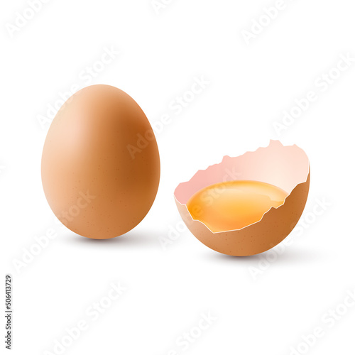 Fresh Chicken Brown Eggs. The Egg is Half Broken in the Shell and a Whole Large Egg.