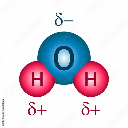 polar molecule diagram of water vector illustration isolated on white background.