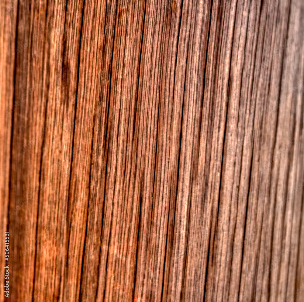 real wood texture real wood texture