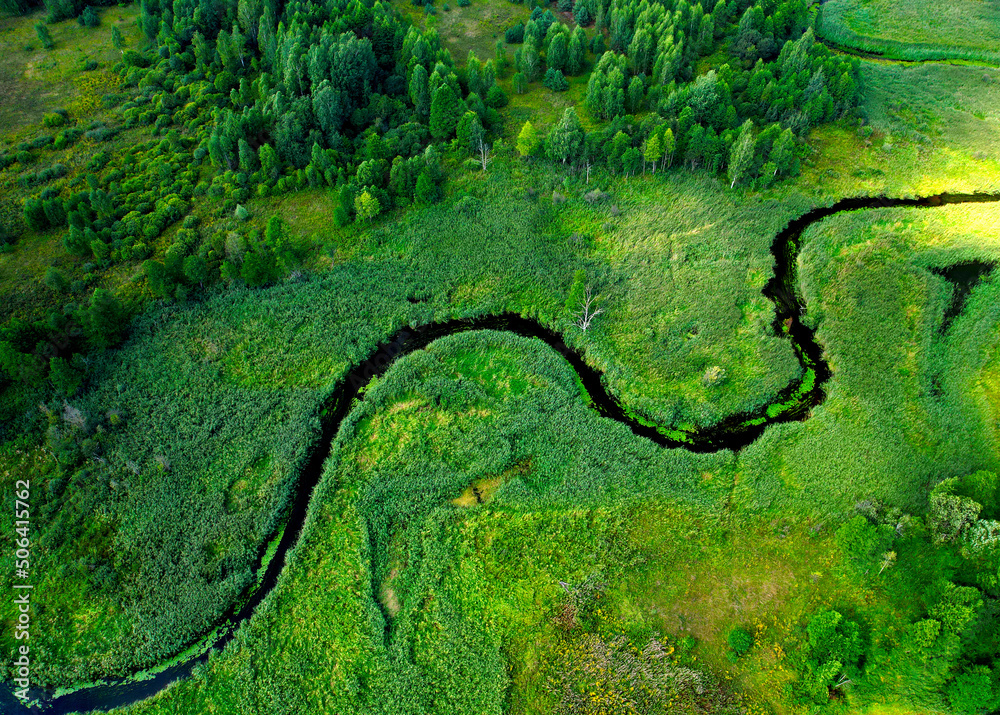 Wild River. Aerial view of river in forest. Natural Resource and Ecosystem. Wildlife Refuge Wetland Restoration. European Green Nature Scenery. Greenhouse gases and ecology. Wetland, marsh and bog.