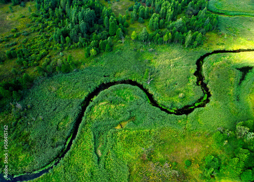Wild River. Aerial view of river in forest. Natural Resource and Ecosystem. Wildlife Refuge Wetland Restoration. European Green Nature Scenery. Greenhouse gases and ecology. Wetland  marsh and bog.