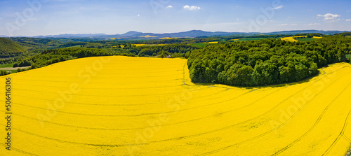 Aerial view of yellow rape fields in spring, Poland