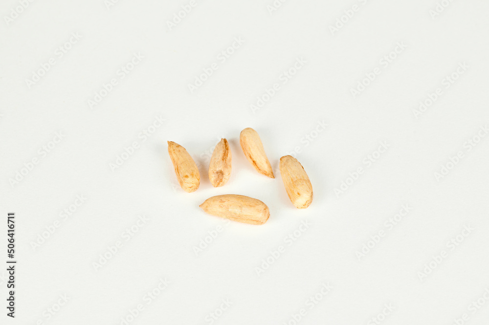 Wild Uzbek papershell almonds 'kaymak' on a white background