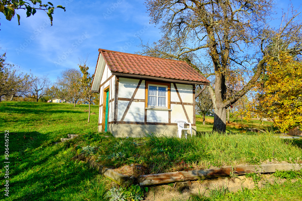 Fototapeta premium Orchard Meadow With Cabin In Autumn