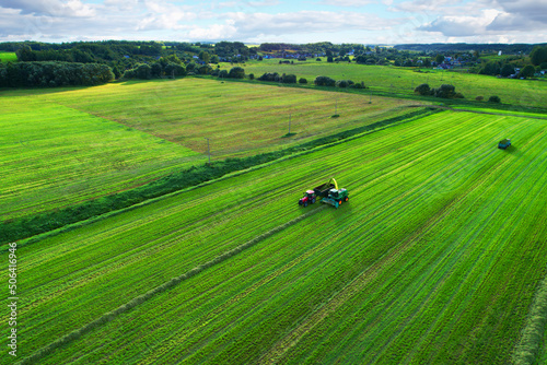 Cutting grass silage at field. Forage harvester on grass cutting for silage in field. Self-propelled Harvester on Hay making for cattle at farm. Tractor with trailer transports hay and grass silage..