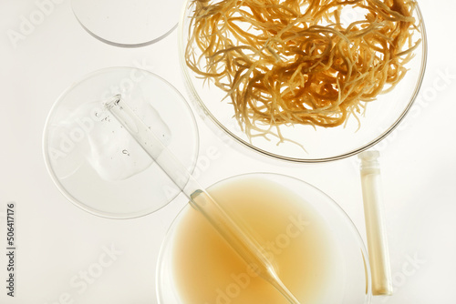 Konstfotografi Abstract cosmetic laboratory