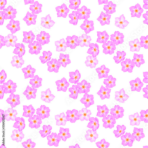 pink forget-me-not flowers on white background. summer floral seamless pattern, vector illustration