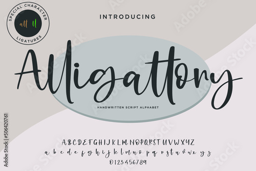 Script Alphabet, modern calligrapghy suitable for your design