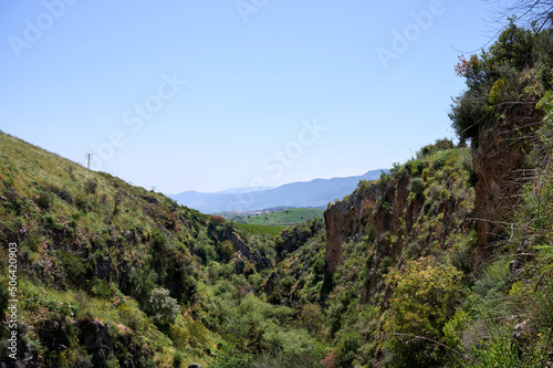 Landscapes and plants in the area of the Ayuna water stream. River Nahal Ayun. Reserve and national park. Upper Galilee, Israel