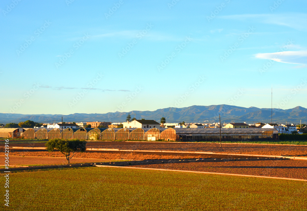 Farmland and farm field in rural. Village house at agriculture field in countryside. Land horchata. Sowing grain and harvesting. Alboraya agriculture. Almácera​ Wineries and Vineyard. Olive soil..