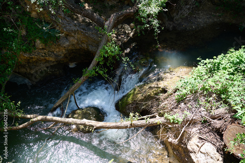 Fototapeta Naklejka Na Ścianę i Meble -  Windbreak and deadwood Ayuna water stream. River Nahal Ayun. Reserve and national park. Upper Galilee, Israel