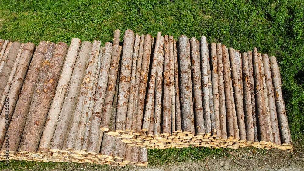 Fototapeta premium Pile of wood in the forest drone shot