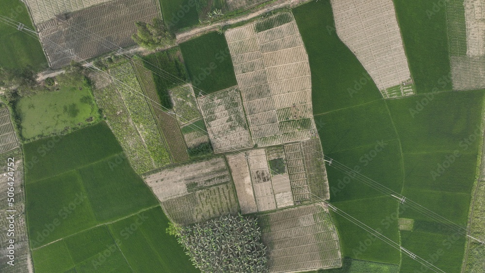 Fototapeta premium feild aerial view