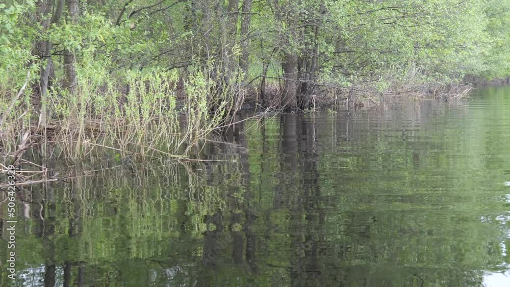 spring on the forest river young greenery over the water 2022 spring on the forest river young greenery over the water 2022