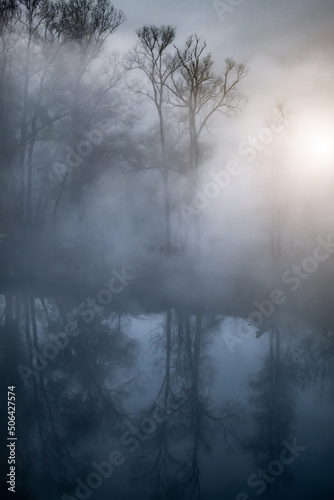 Autumn trees near river hidden in dense mist
