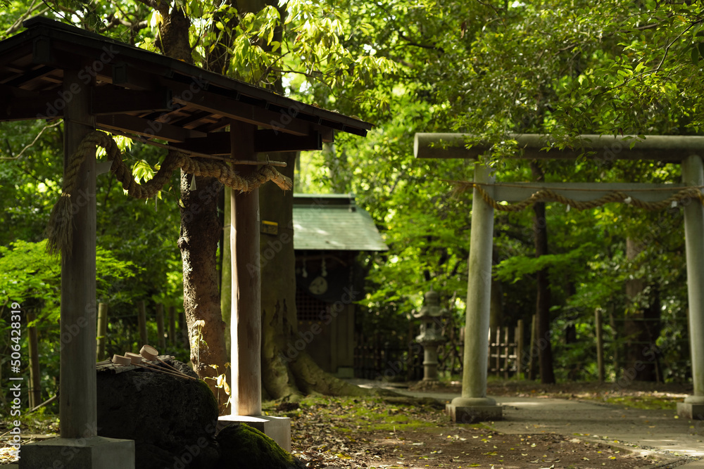 朝の柿田川貴船神社