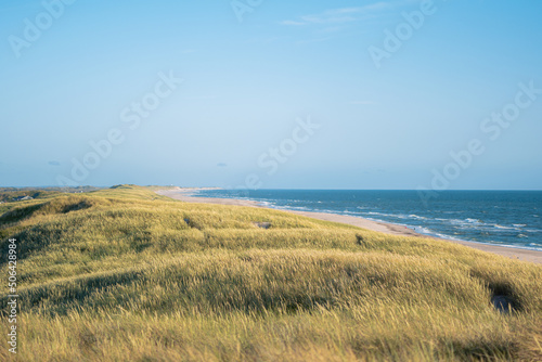 Dunes in bright daylight at the danish west coast. High quality photo