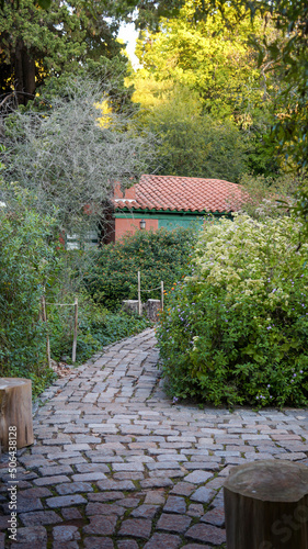 old stone pathway between colorful bushes and tall trees in Carlos Thays botanical garden   photo