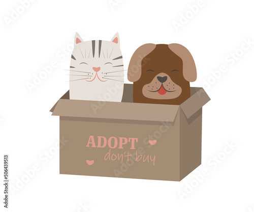 Illustration of a cat and dog in a box from an animal shelter.