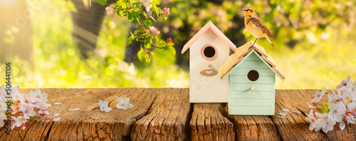 Canvastavla Two colorful bird houses with little bird on a wooden table in a blooming orchar