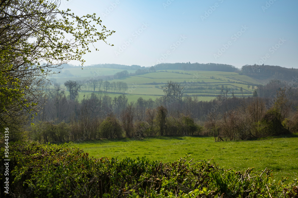 Fototapeta premium the landscape in the netherlands in south limburg with hills