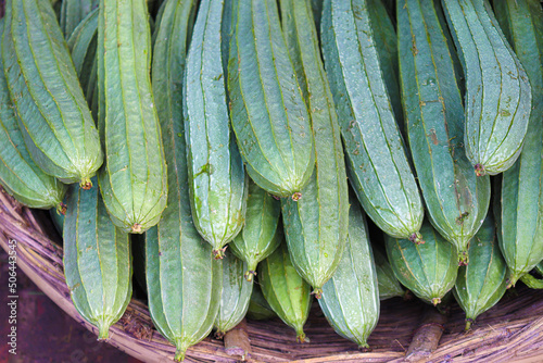 Snake Gourd stock on shop