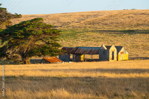 Rustic and rambling shedding in a paddock