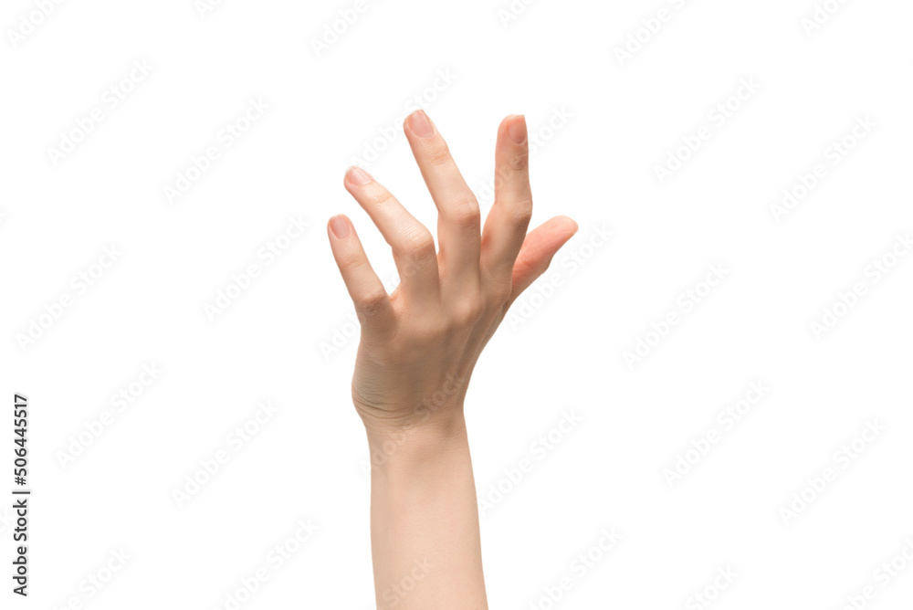 Woman hand isolated on a white background. Woman hand isolated on a white background.