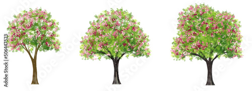 Fotografiet Vector blooming flower tree side view isolated on white background for landscape