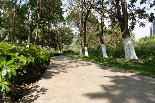 Roads and green belts in the park