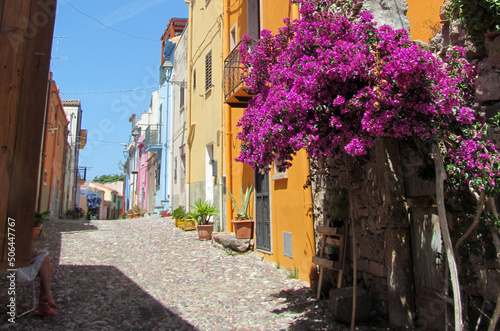 bosa sardaigne italie village rue maisons color  es couleurs fleurs m  di  vale ancienne touristique voyage tourisme europe vue paysage