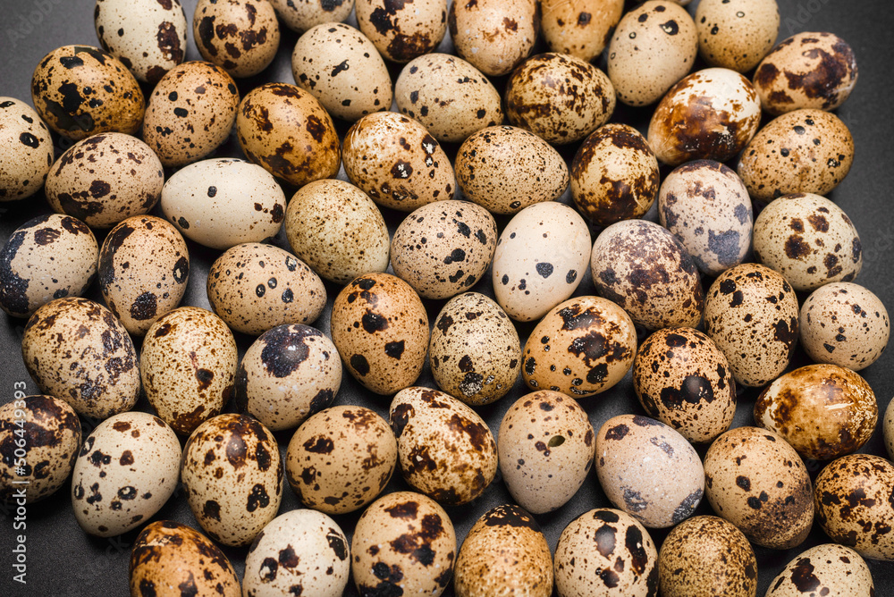 Group of quail eggs as a background. Raw eggs. Group of quail eggs as a background. Raw eggs.
