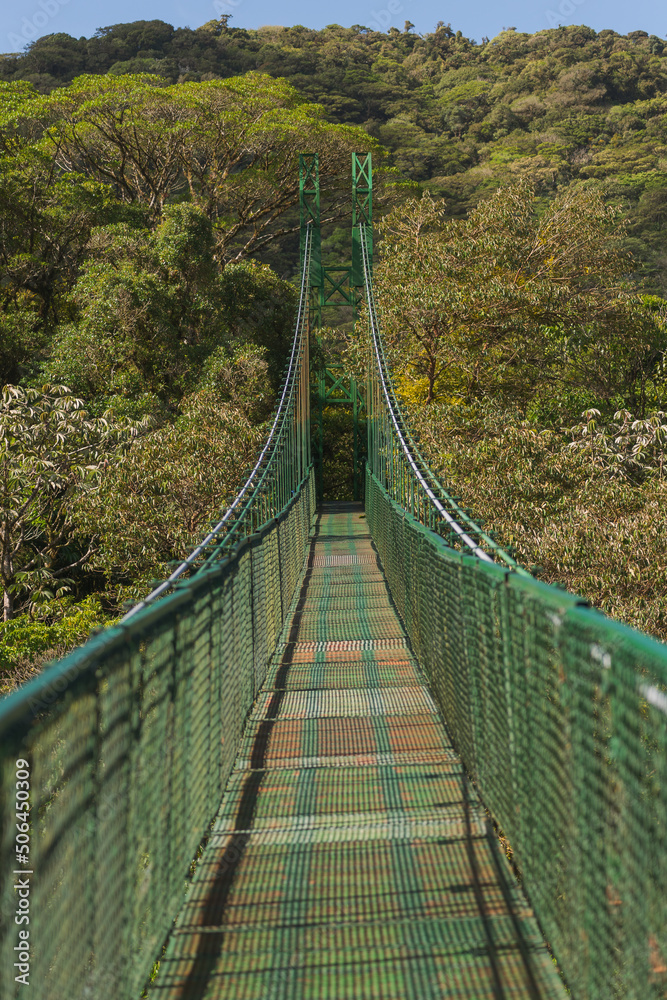 Green suspension bridge. Between the trees. Travel concept, walking, hiking, nature, uncrowded. Cloud forest. Costa Rica.