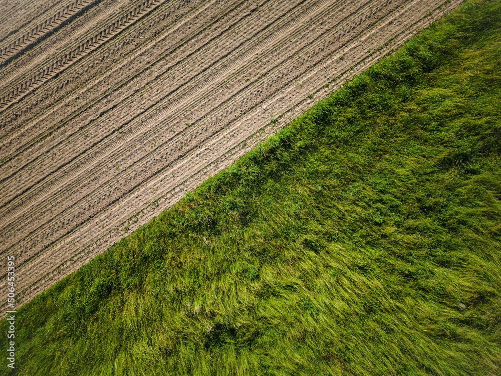 Farming field and a green grass field in an abstract, minimal, aerial view