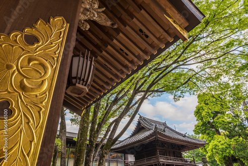 Photos 神社　門　神社仏閣　拝殿　大國魂神社　随神門　寺社仏閣