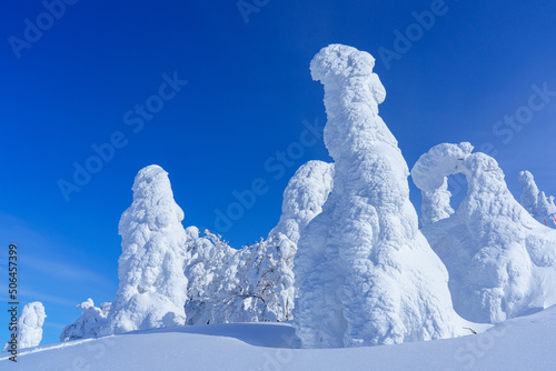 森吉山の樹氷（スノーモンスター） 日本三大樹氷 秋田観光