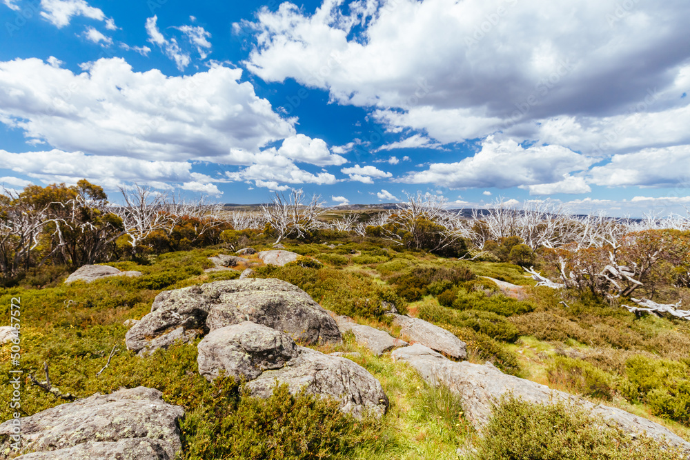 Wallace Hut near Falls Creek in Australia Wallace Hut near Falls Creek in Australia
