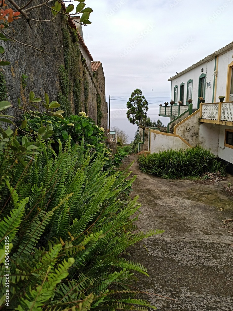 Landscape and cityscape from Terceira island with beautiful vegetation
