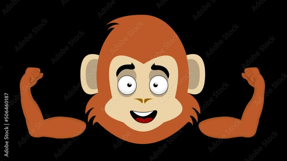 Loop animation of the face of a cartoon monkey or gorilla flexing his arms and contracting his biceps, on a transparent background Loop animation of the face of a cartoon monkey or gorilla flexing his arms and contracting his biceps, on a transparent background