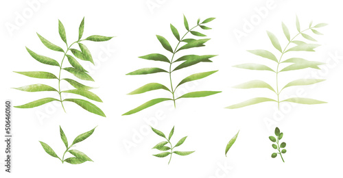 Watercolor leaves. Light green leaf illustration. Natural elements for floral seamless composition  wallpaper  textiles.