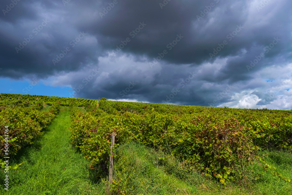 Storm clouds over the vineyards in Rhineland-Palatinate/Germany