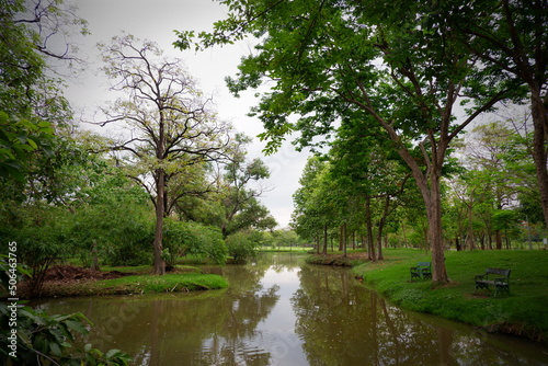 Beautiful natural scenery(trees, sky, park pond) in the Rot Fai park, Thailand. beautiful nature, Travel and relaxation, fresh air and make you feel refreshed. photo.