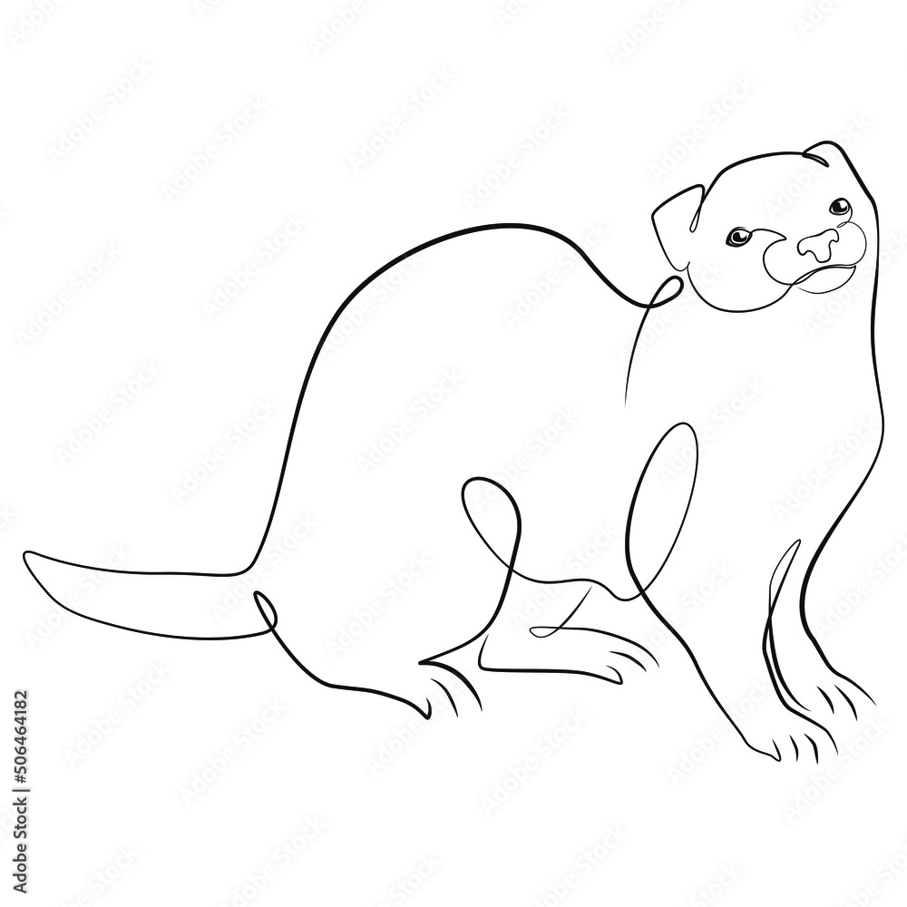 Ferret one line drawing on white isolated background Ferret one line drawing on white isolated background