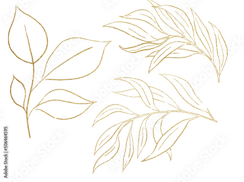 Fototapeta Naklejka Na Ścianę i Meble -  Golden Outlines botanical leaves illustration isolated