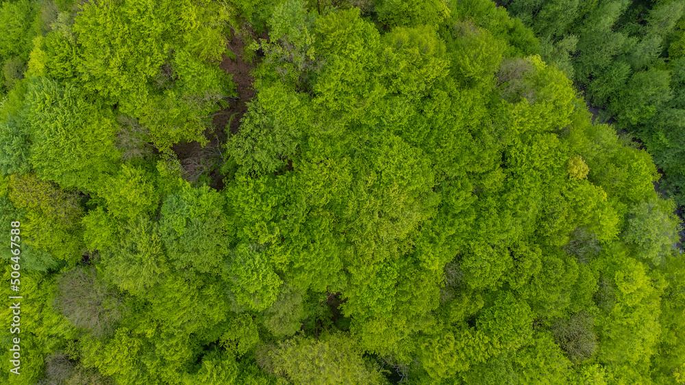 Shooting from a quadcopter. Top view, flat landscape. Forest, park, tree, hills, village, city, road Shooting from a quadcopter. Top view, flat landscape. Forest, park, tree, hills, village, city, road