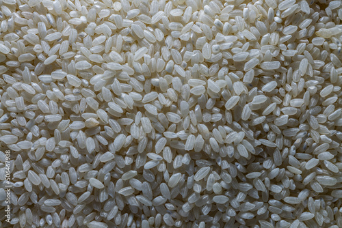 white dry rice crumbly round - grain