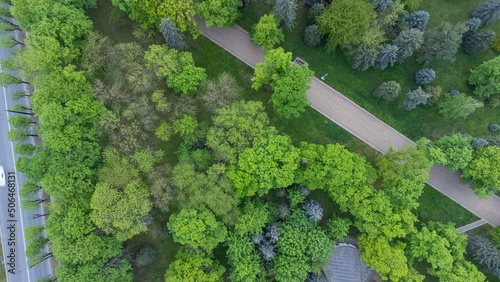 View of the park from above. Drone footage of the park. Green trees from a bird's eye view. Shooting from a quadcopter