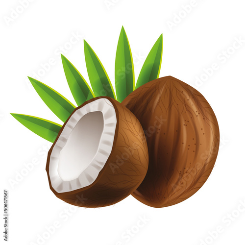 Coconut vector illustration, cut coco tropical fruit nut icon, whole realistic brown plant, green leaf. Fresh organic summer food isolated whole healthy exotic dessert meal. Nature logo, brown coconut