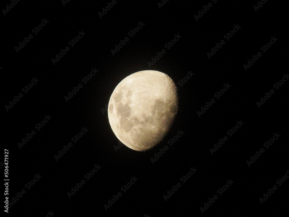 moon in the night moon in the night
